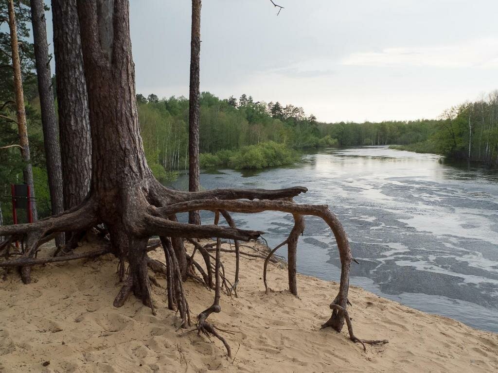 База отдыха НиКиТа Спасск-Рязанский-23