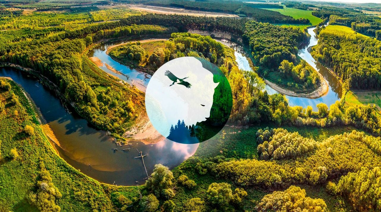 База отдыха НиКиТа Спасск-Рязанский-21