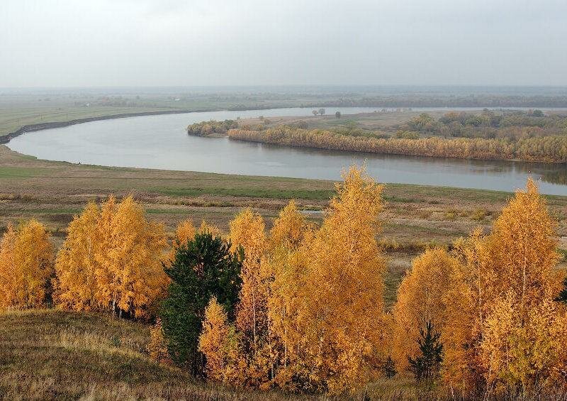База отдыха НиКиТа Спасск-Рязанский-65
