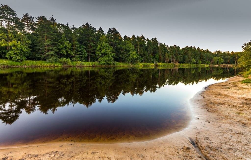 База отдыха НиКиТа Спасск-Рязанский-64