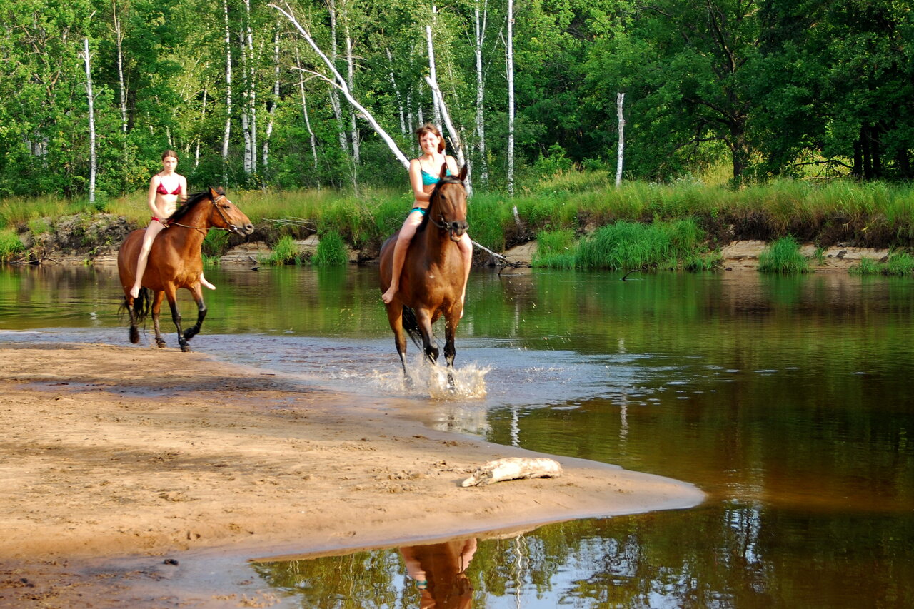 База отдыха НиКиТа Спасск-Рязанский-6