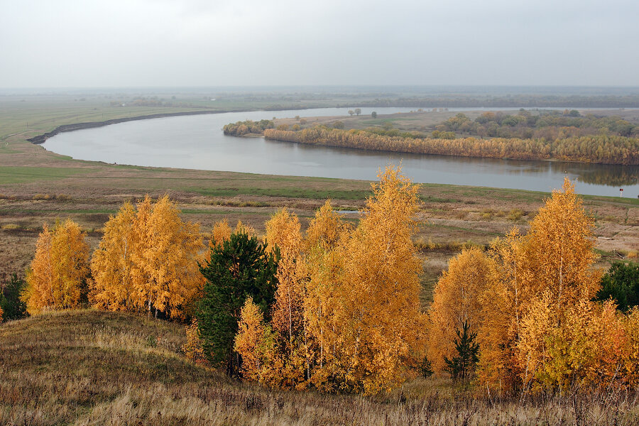 База отдыха НиКиТа Спасск-Рязанский-12