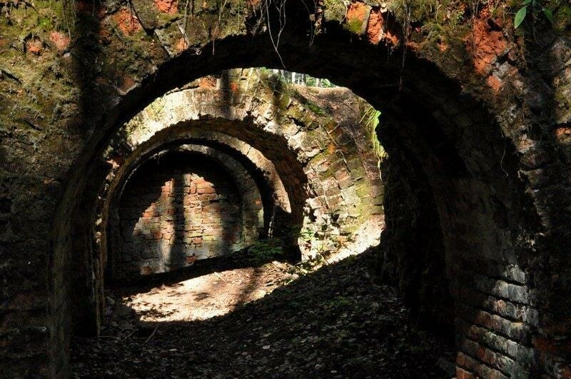 База отдыха НиКиТа Спасск-Рязанский-16