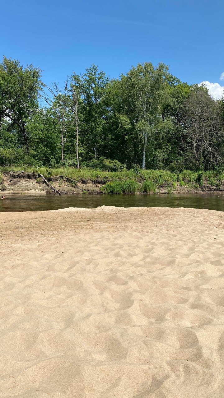 База отдыха НиКиТа Спасск-Рязанский-88