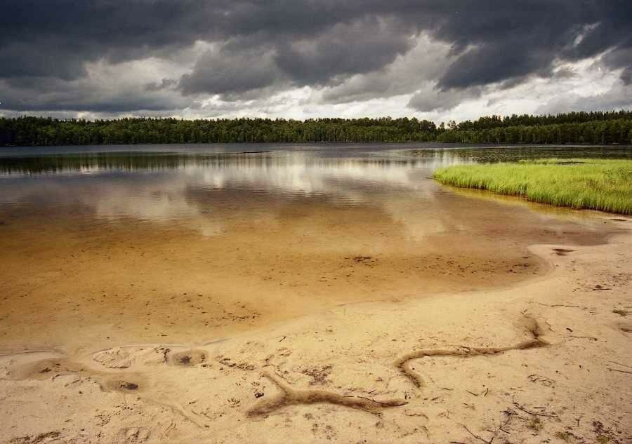База отдыха НиКиТа Спасск-Рязанский-52
