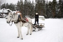База отдыха НиКиТа Спасск-Рязанский-7