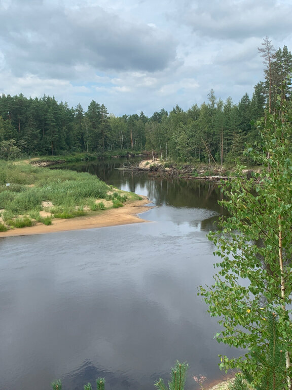 База отдыха НиКиТа Спасск-Рязанский-98