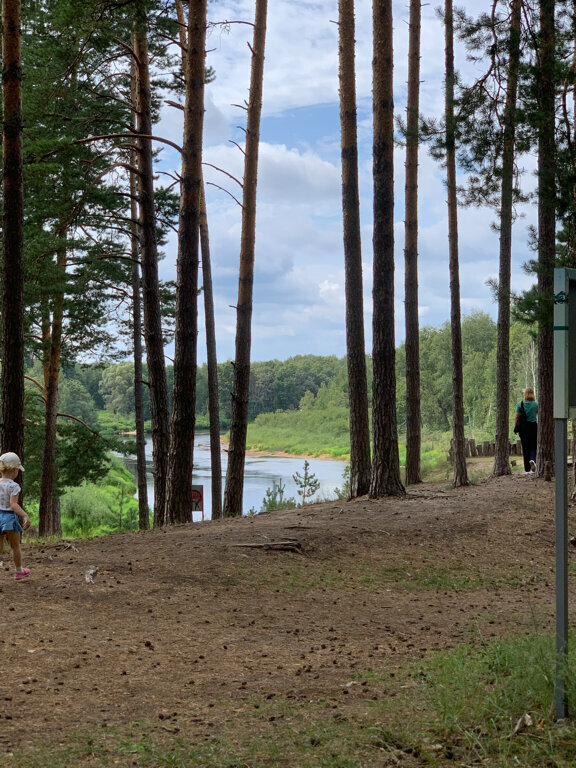 База отдыха НиКиТа Спасск-Рязанский-94