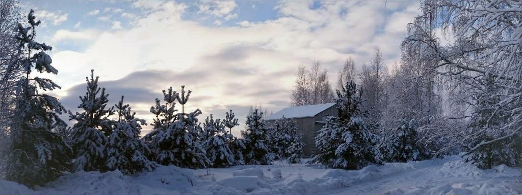 База отдыха НиКиТа Спасск-Рязанский-30