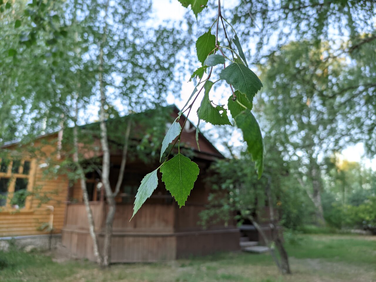 База отдыха НиКиТа Спасск-Рязанский-117