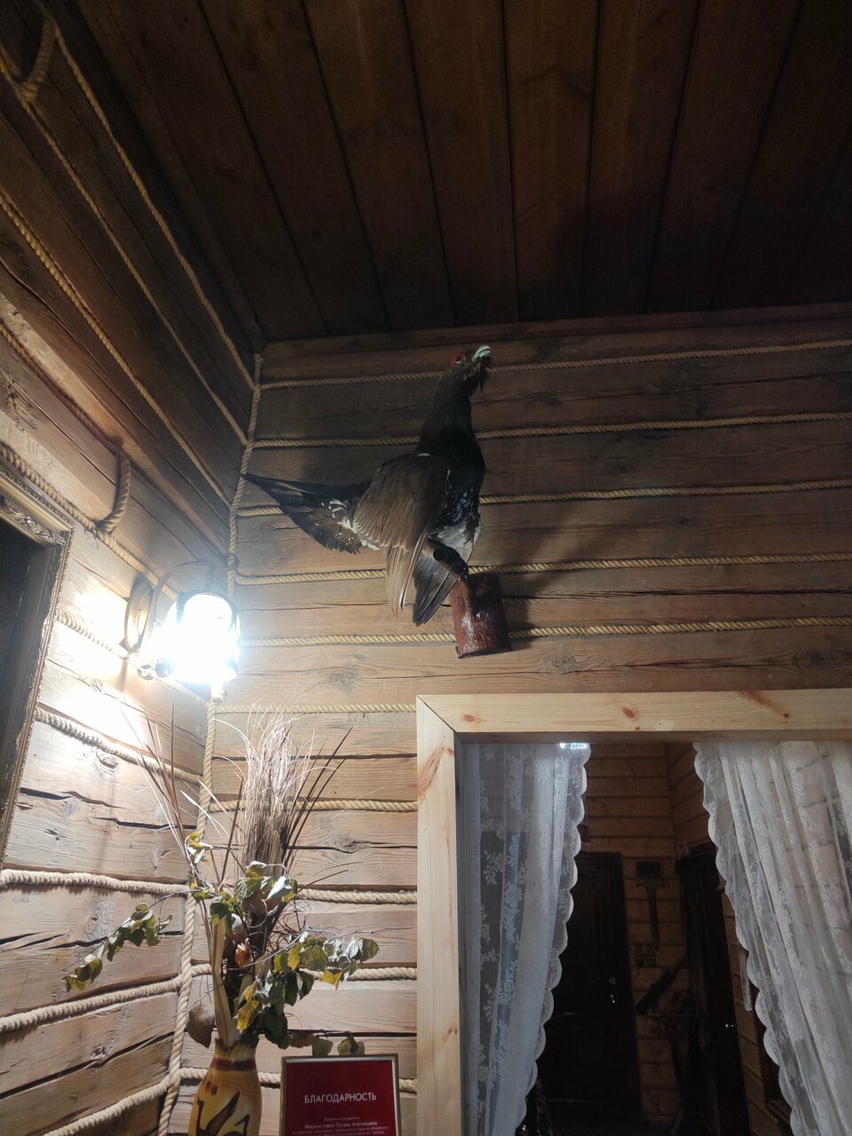 База отдыха НиКиТа Спасск-Рязанский-102