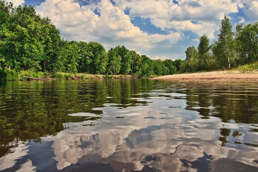 База отдыха НиКиТа Спасск-Рязанский-11