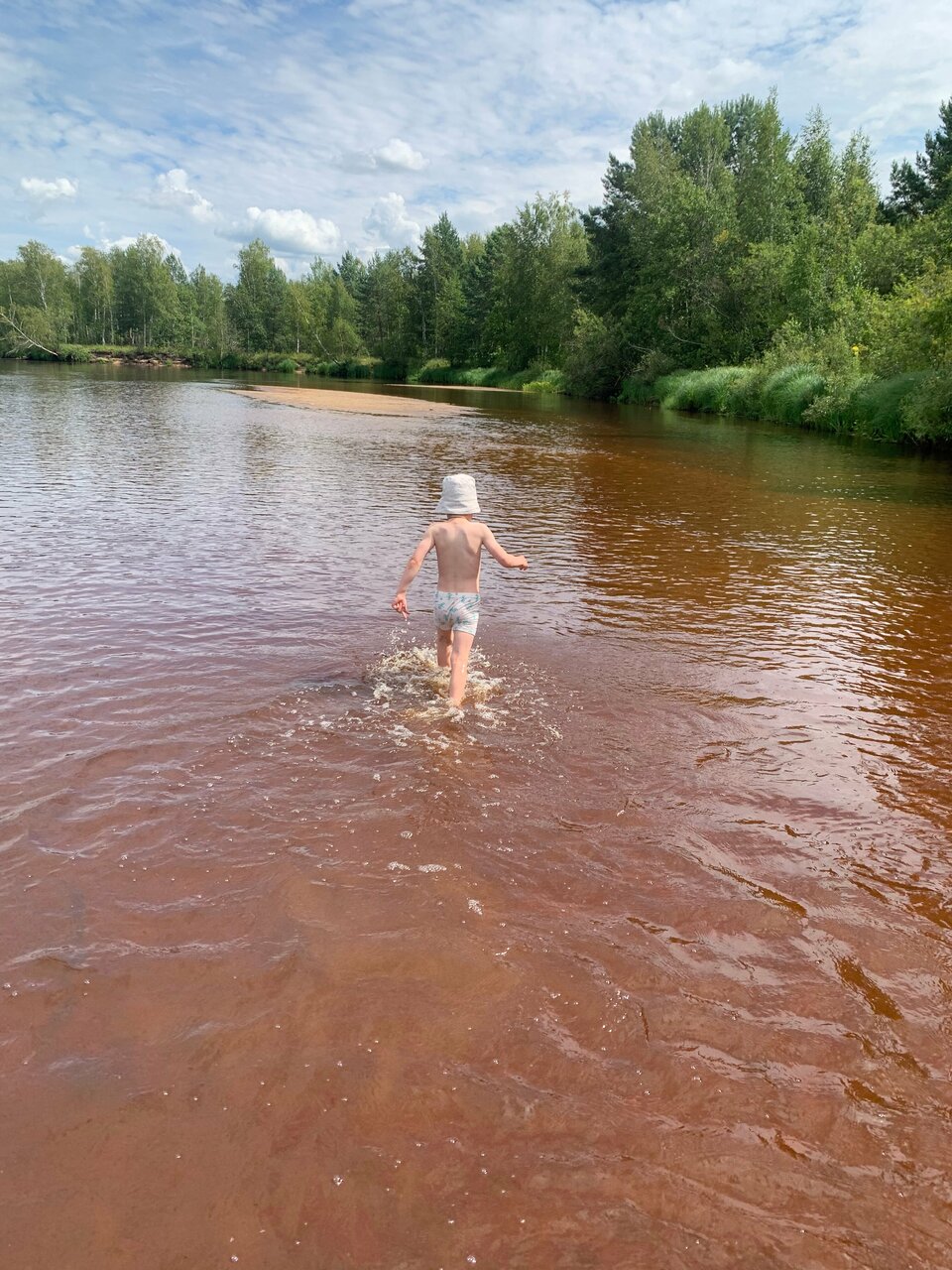 База отдыха НиКиТа Спасск-Рязанский-84