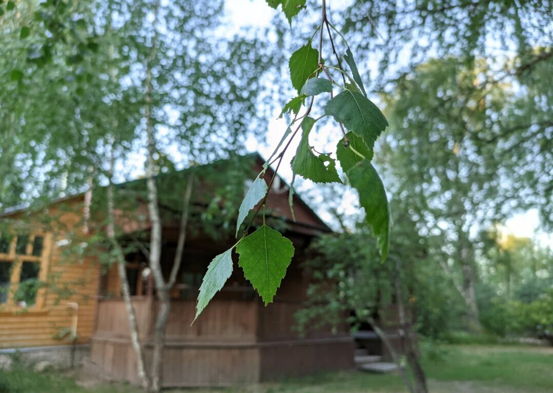 База отдыха НиКиТа Спасск-Рязанский-38