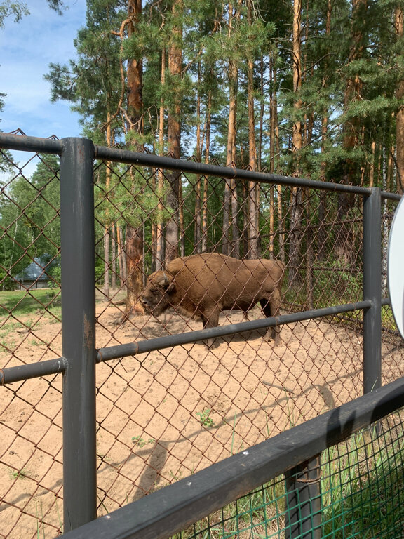 База отдыха НиКиТа Спасск-Рязанский-71