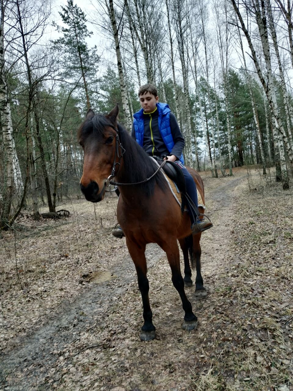 База отдыха НиКиТа Спасск-Рязанский-111