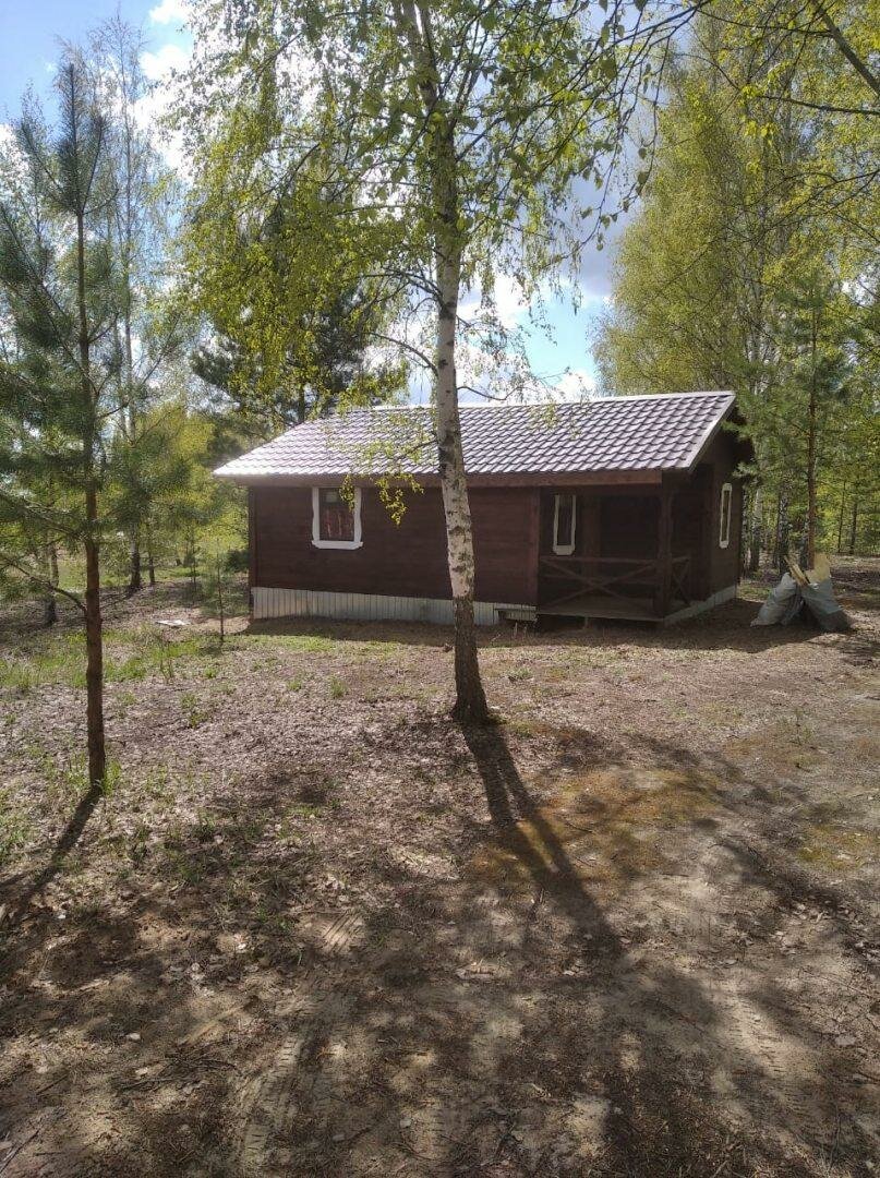 База отдыха НиКиТа Спасск-Рязанский-53