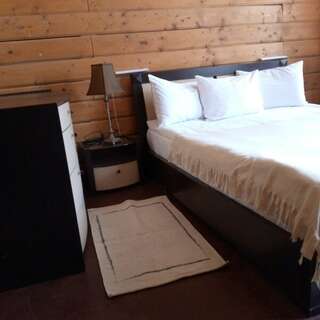 База отдыха НиКиТа Спасск-Рязанский Эконом с двухспальной кроватью и допместом-1