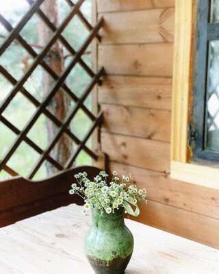 База отдыха НиКиТа Спасск-Рязанский Аппартаменты с одной спальней-3