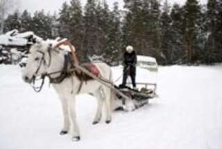 База отдыха НиКиТа Спасск-Рязанский-3