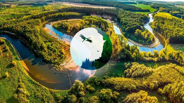 База отдыха НиКиТа Спасск-Рязанский-20