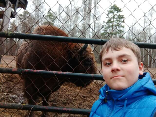 База отдыха НиКиТа Спасск-Рязанский-82