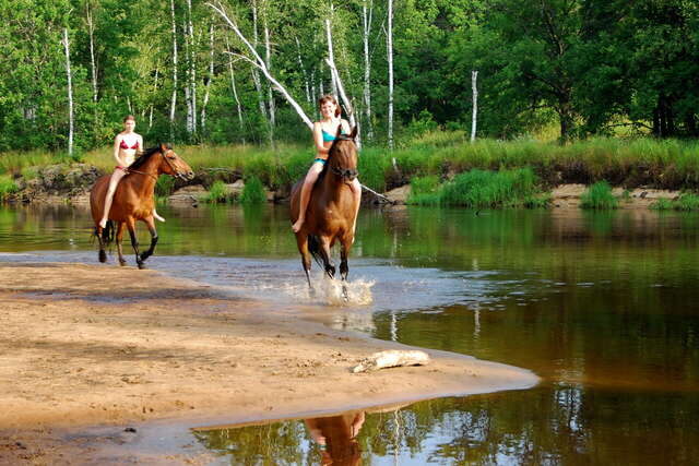 База отдыха НиКиТа Спасск-Рязанский-5