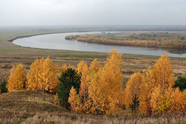База отдыха НиКиТа Спасск-Рязанский-11