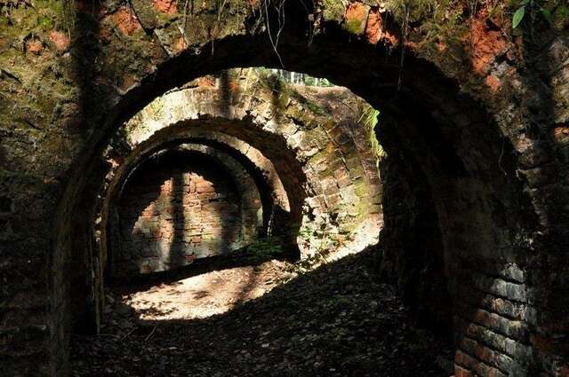 База отдыха НиКиТа Спасск-Рязанский-15