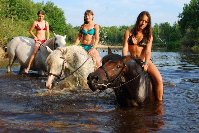 База отдыха НиКиТа Спасск-Рязанский-4