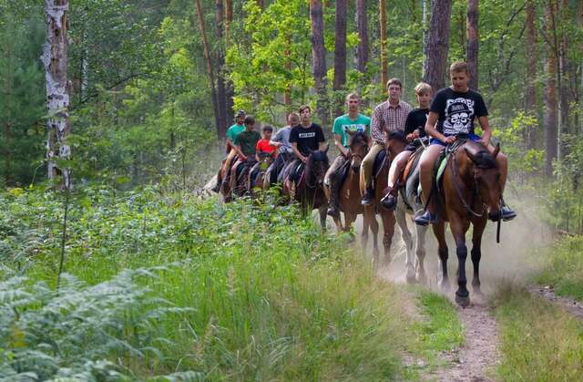 База отдыха НиКиТа Спасск-Рязанский-47
