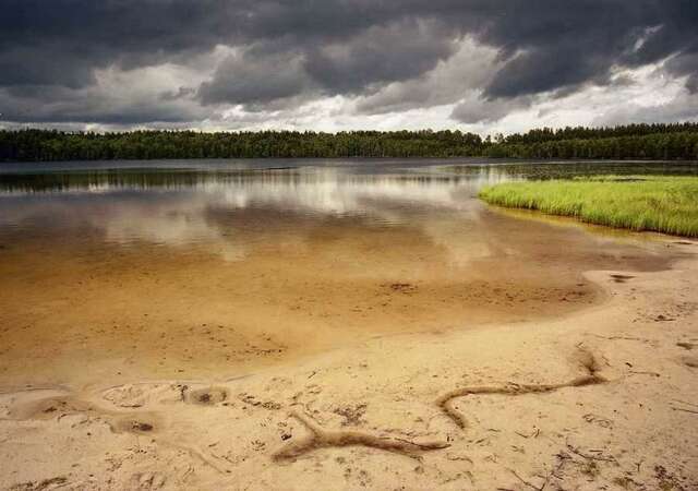 База отдыха НиКиТа Спасск-Рязанский-51