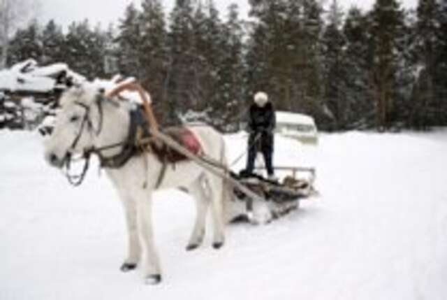 База отдыха НиКиТа Спасск-Рязанский-6