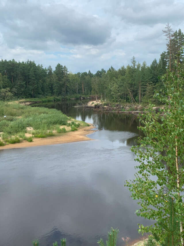 База отдыха НиКиТа Спасск-Рязанский-97