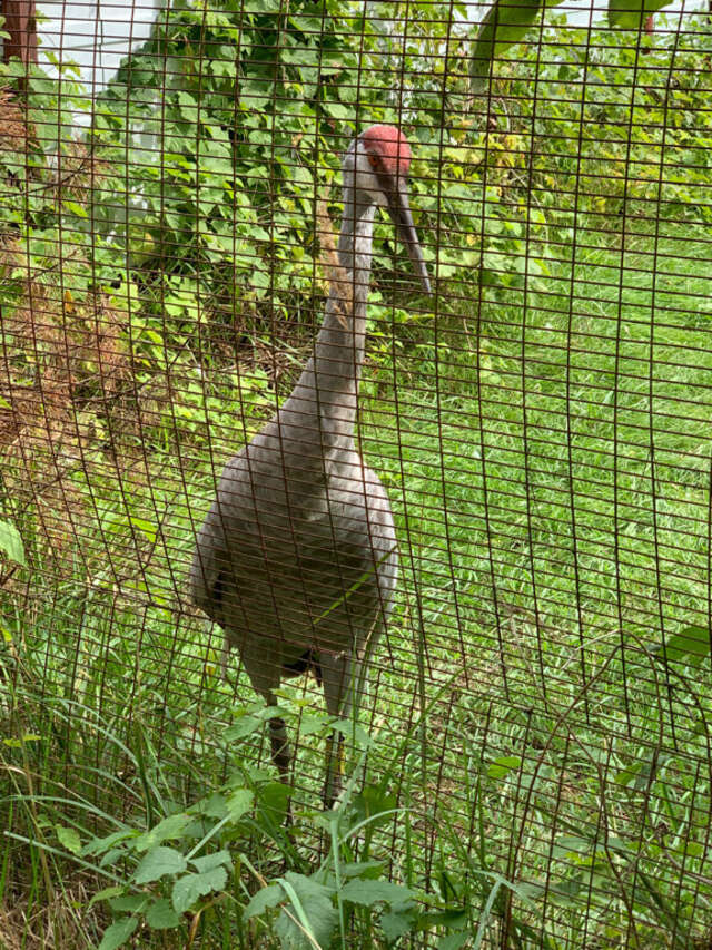 База отдыха НиКиТа Спасск-Рязанский-74