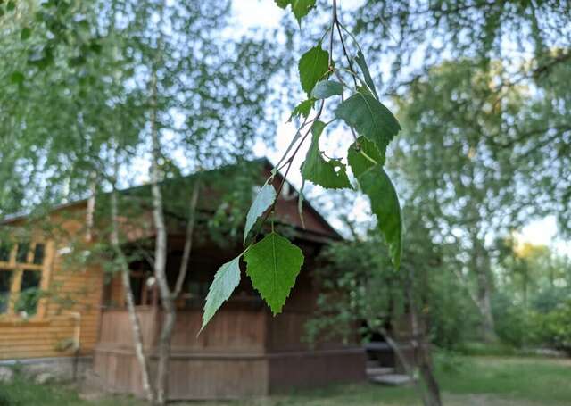 База отдыха НиКиТа Спасск-Рязанский-37