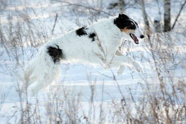 База отдыха НиКиТа Спасск-Рязанский-24