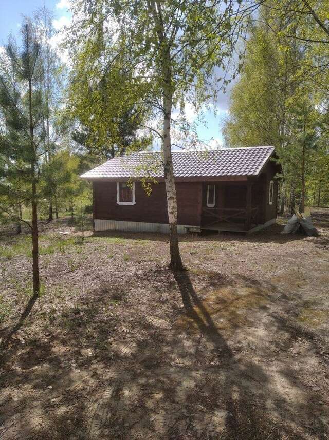 База отдыха НиКиТа Спасск-Рязанский-52