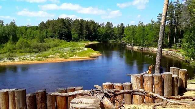 База отдыха НиКиТа Спасск-Рязанский-41